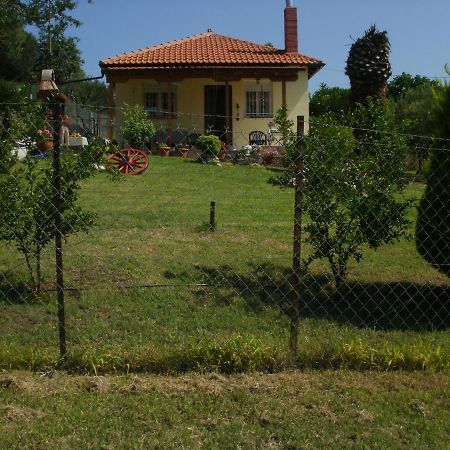 Willa Xerxis Hill/Chalkidiki Τρυπητή Χαλκιδικής Nea Roda Zewnętrze zdjęcie